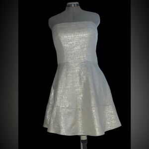 Express silver metallic dress, size 12( tagged a sz 12, but fits like a sz 8)